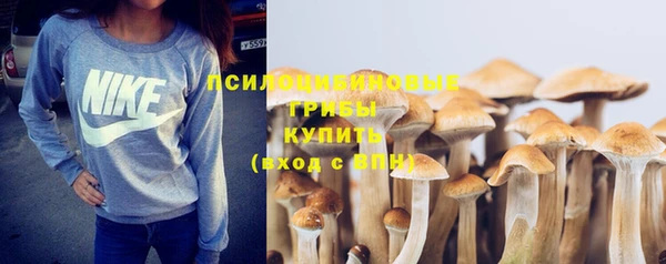 прущие грибы Лиски