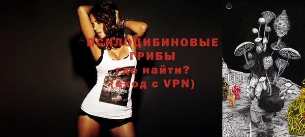 прущие грибы Лиски