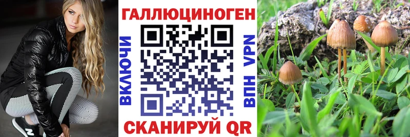 Псилоцибиновые грибы Psilocybe  Щучье 